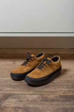 Tarvas – Explorer – Ochre